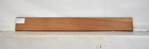 MOGAFR1245_1