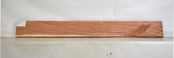 ROSEAF1265_1