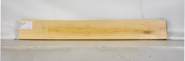 BASS1161_1