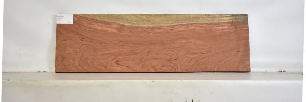 BUB1232_1