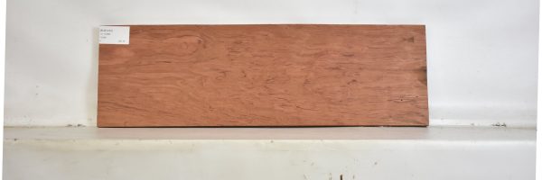 BUB1234_2
