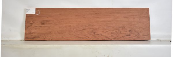 BUB1237_1