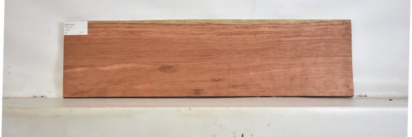BUB1239_2