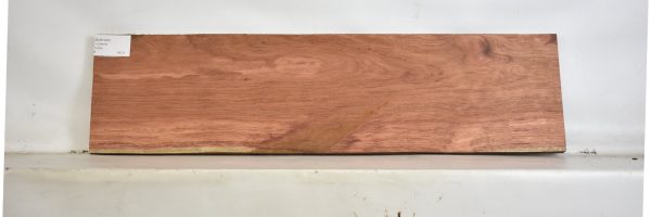 BUB1240_1