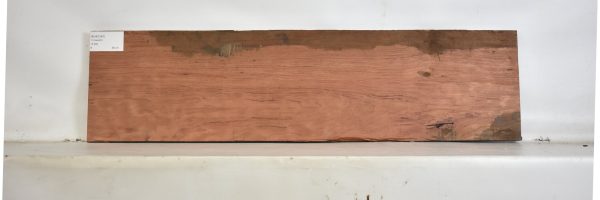 BUB1240_2