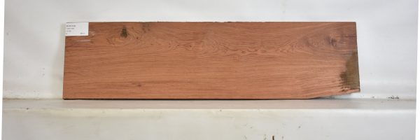 BUB1244_1