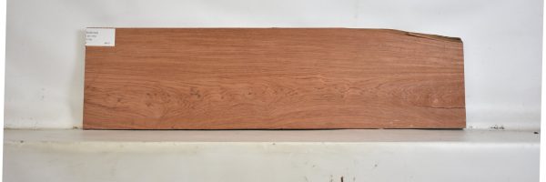BUB1244_2