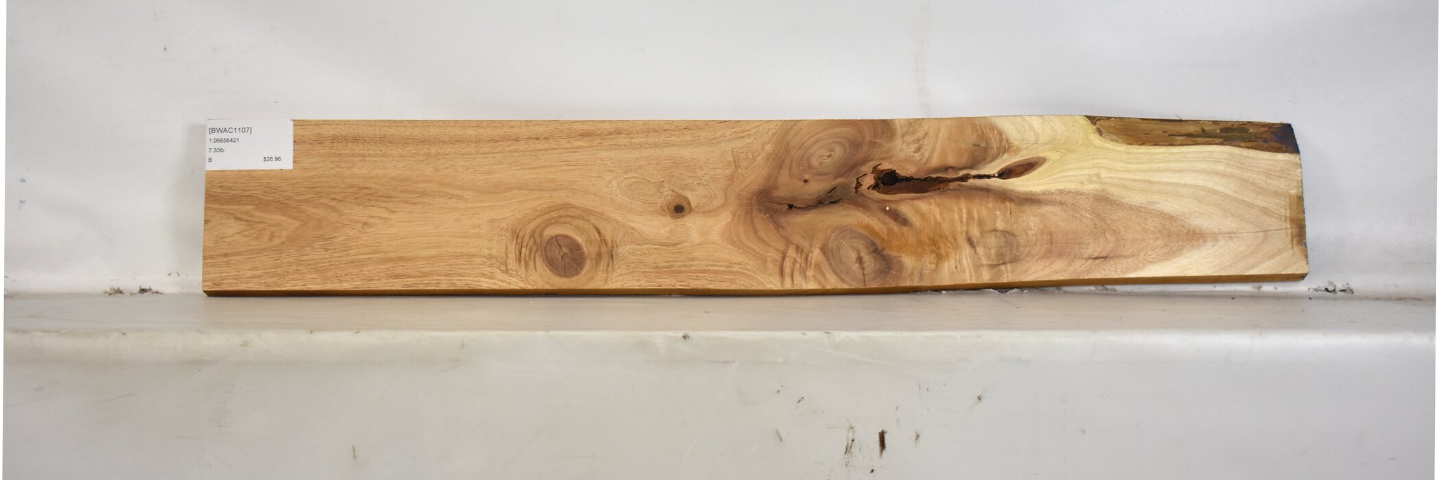 Blackwood - Acacia 2 BWAC1107_2