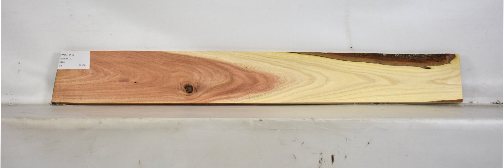 Blackwood - Acacia 2 BWAC1119_2