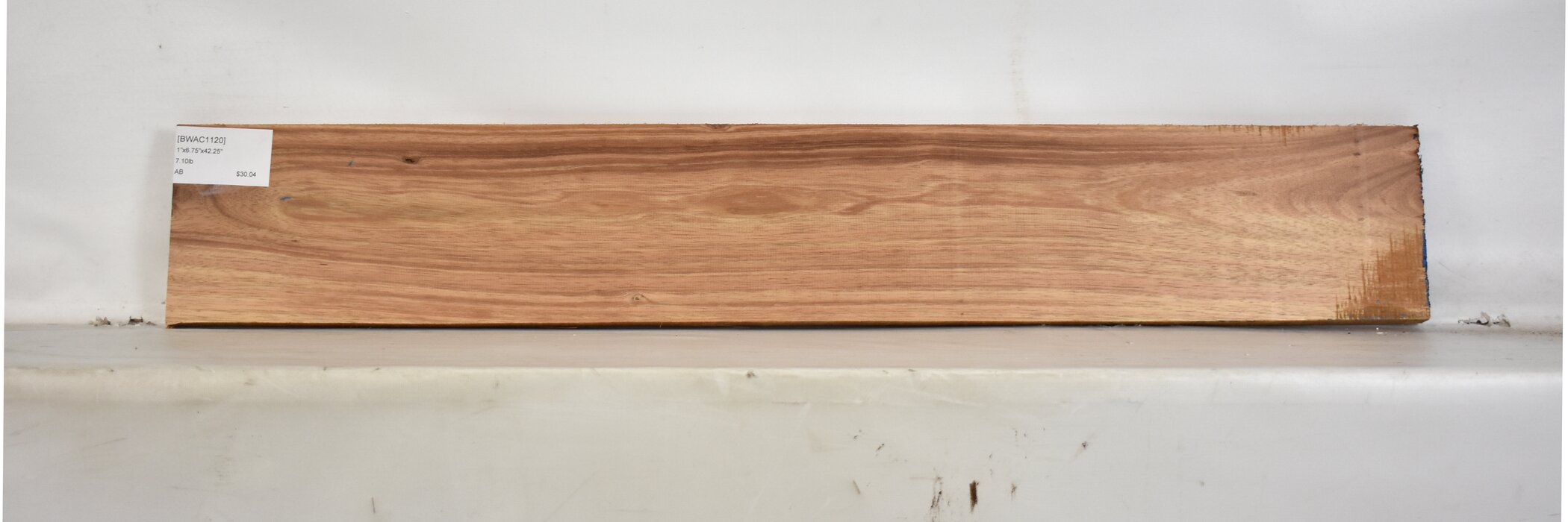 Blackwood - Acacia 2 BWAC1120_2