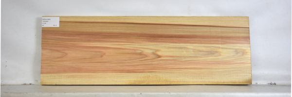 CEDJ1095_2