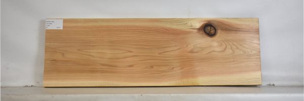 CEDJ1100_2