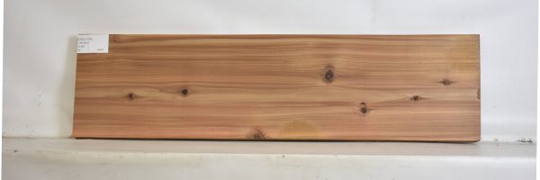 CEDJ1106_2