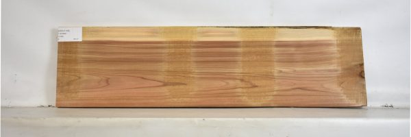 CEDJ1108_2
