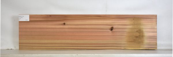 CEDJ1110_1