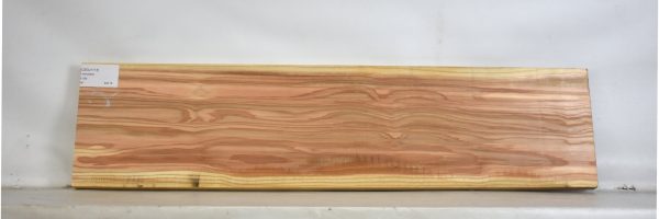 CEDJ1113_1