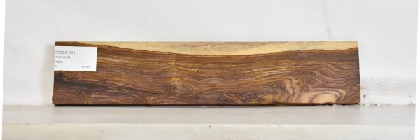COCO1381_2