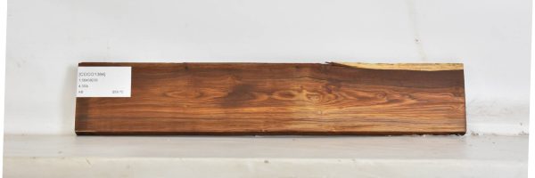 COCO1384_2