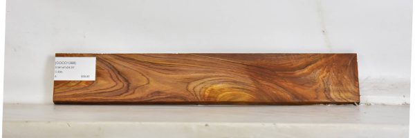 COCO1388_1