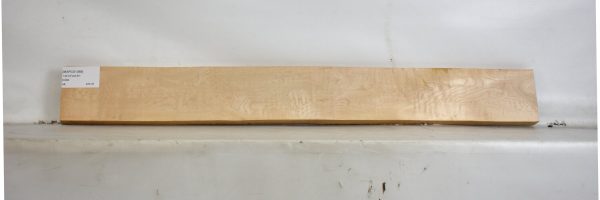 MAPCS1368_2