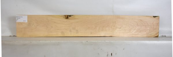 MAPCS1373_2