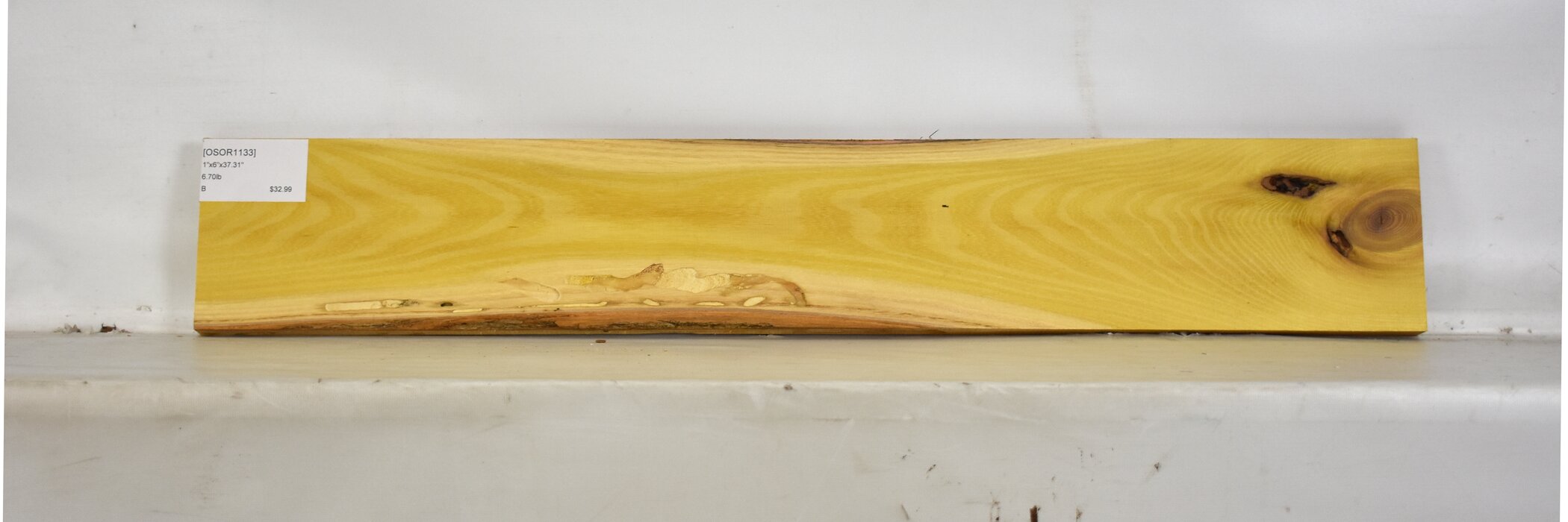 Osage Orange 2 OSOR1133_2