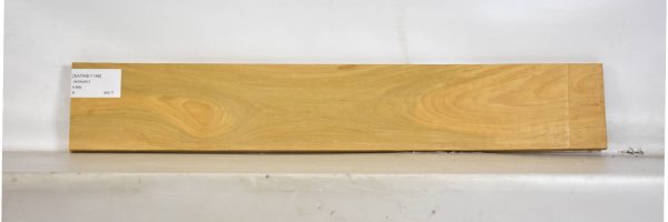 SATINEI1168_2