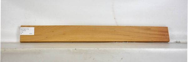 SATINEI1170_2