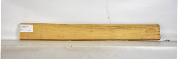 SATINEI1172_1