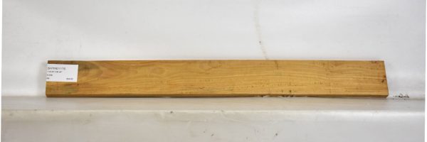 SATINEI1175_1
