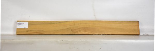 SATINEI1176_2
