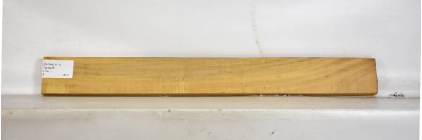 SATINEI1177_1
