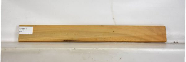 SATINEI1177_2
