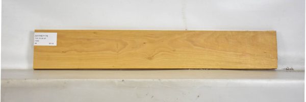 SATINEI1179_2