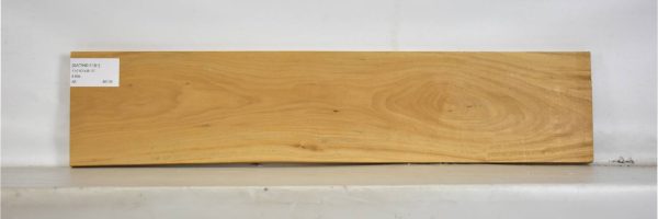 SATINEI1181_2