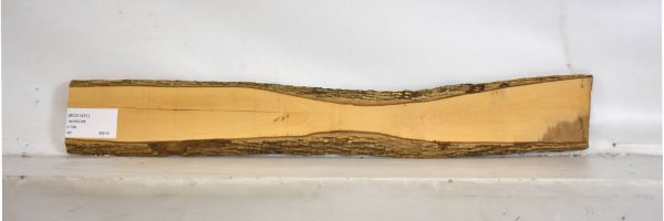 BOX1431_1