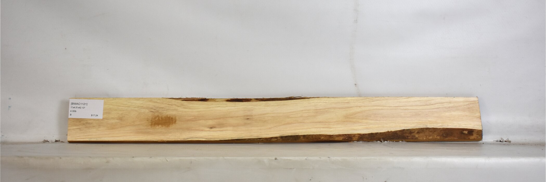 Blackwood - Acacia 2 BWAC1121_2