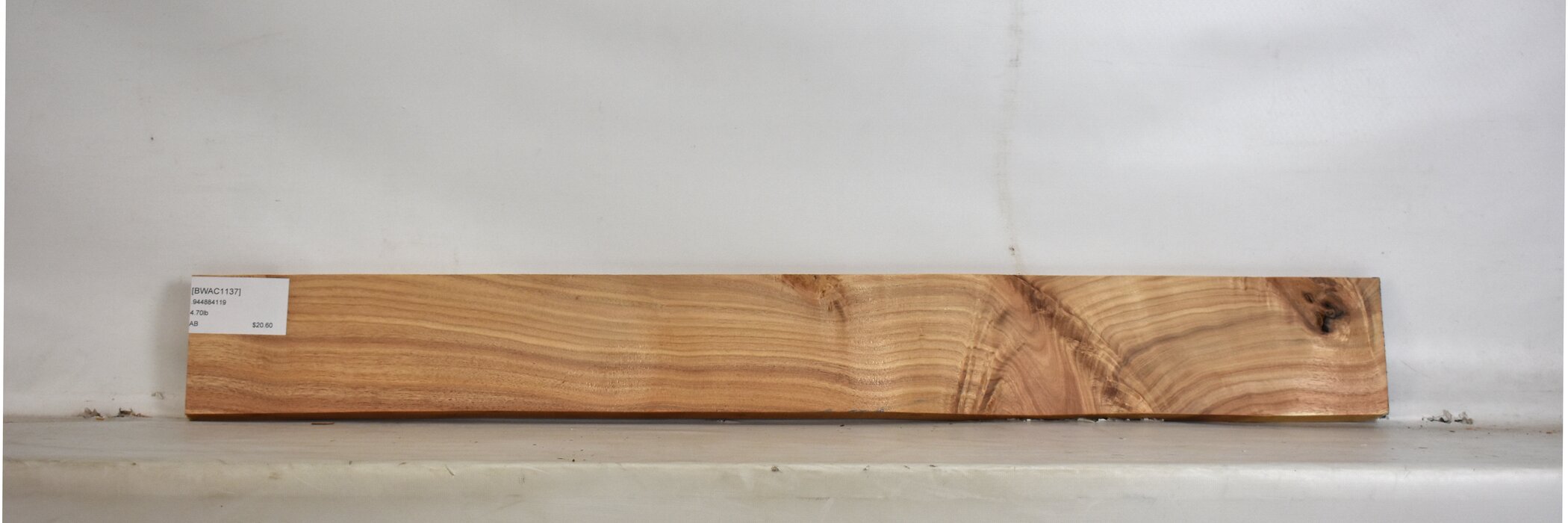 Blackwood - Acacia 2 BWAC1137_2