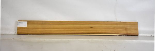 CANAR1249_2