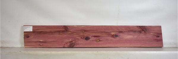 CEDARARO1071_2