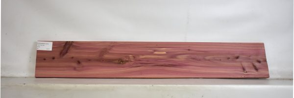 CEDARARO1073_2