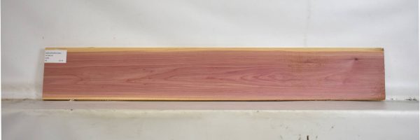 CEDARARO1095_1