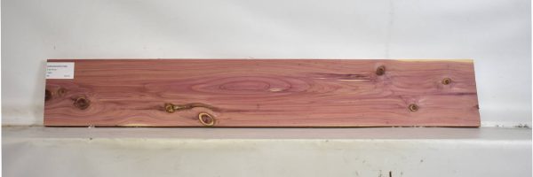 CEDARARO1098_2