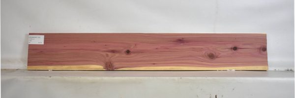 CEDARARO1100_2