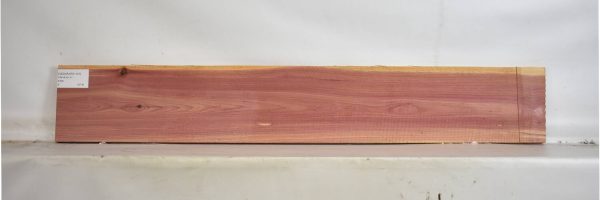 CEDARARO1101_2