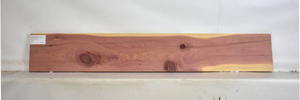 CEDARARO1104_2