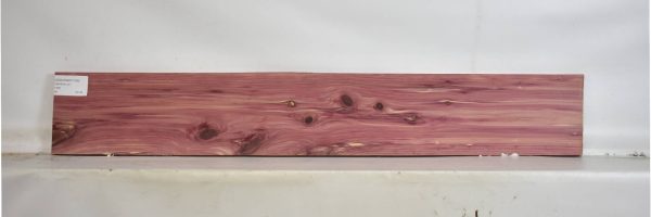 CEDARARO1106_2