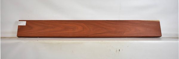 PADAUK1672_1