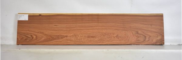 PAUFER1184_2