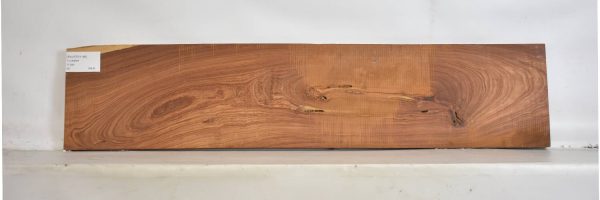 PAUFER1186_2